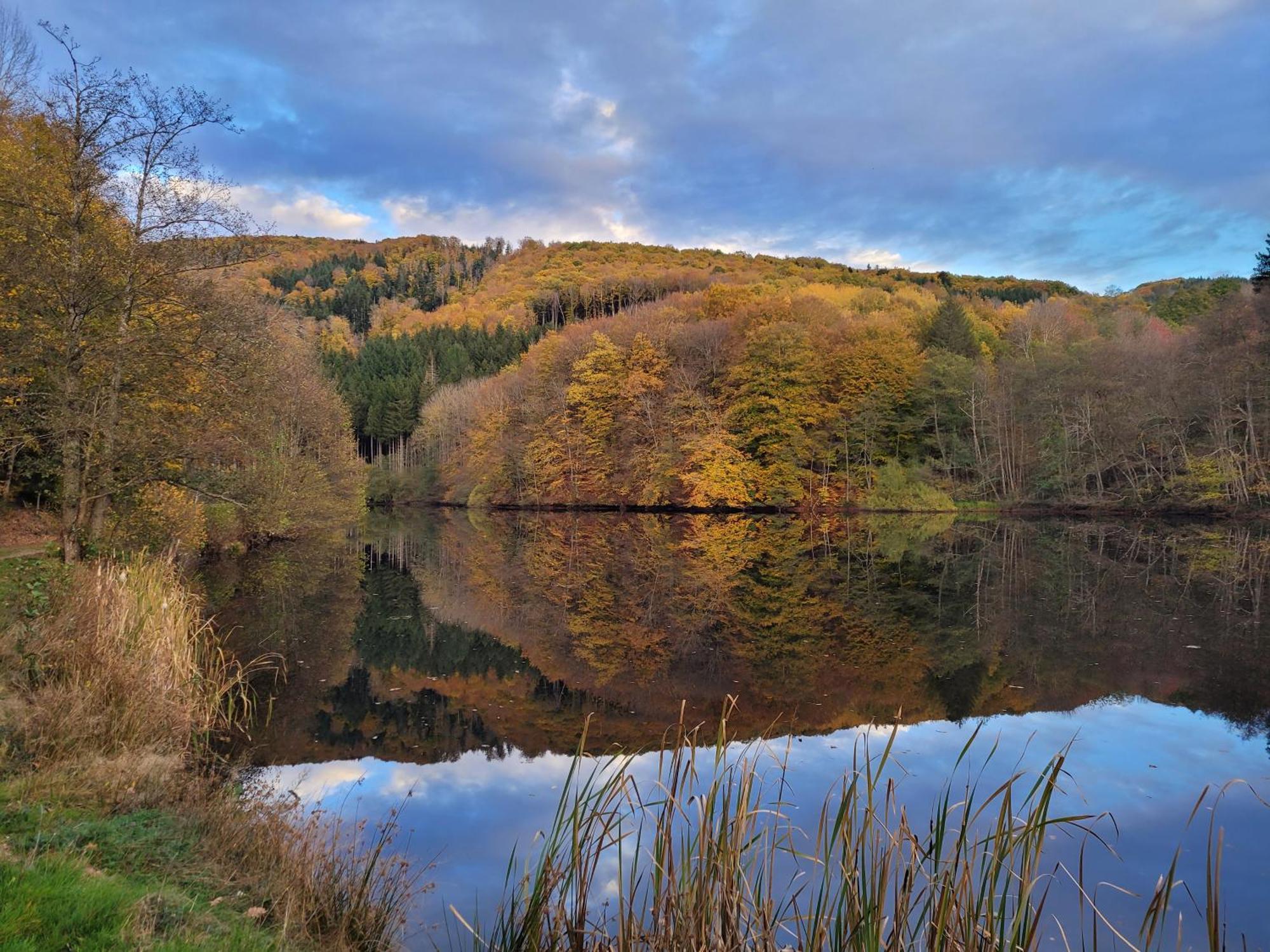 Le Lac Des Moines Condat  المظهر الخارجي الصورة