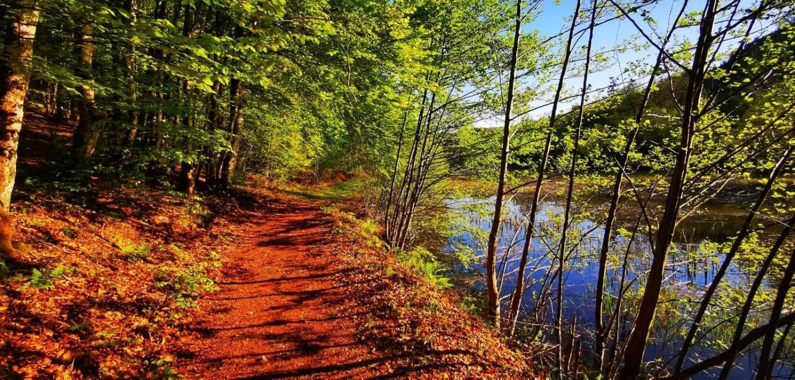 Le Lac Des Moines Condat  المظهر الخارجي الصورة